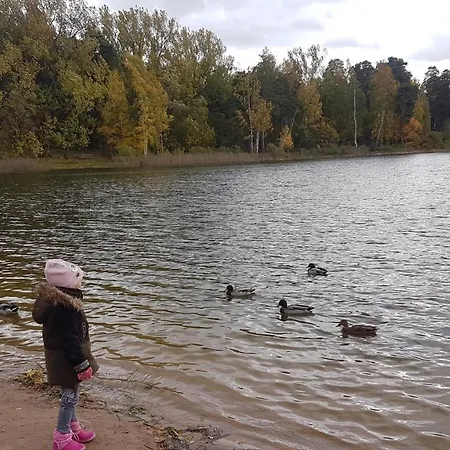 Villa Lake&forest&city *