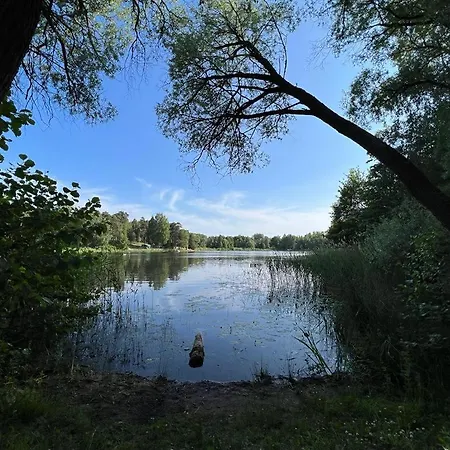 Lake&forest&city Villa