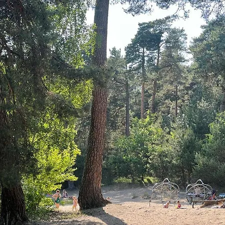 Lake&forest&city *